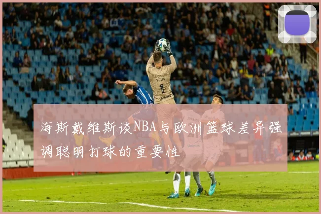 海斯戴维斯谈NBA与欧洲篮球差异强调聪明打球的重要性