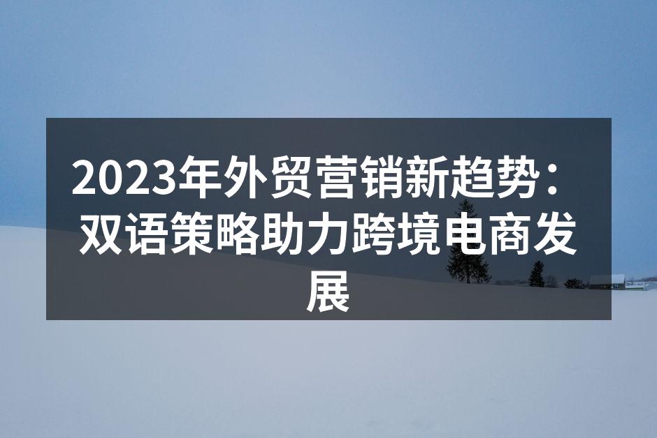 2023年外贸营销新趋势：双语策略助力跨境电商发展