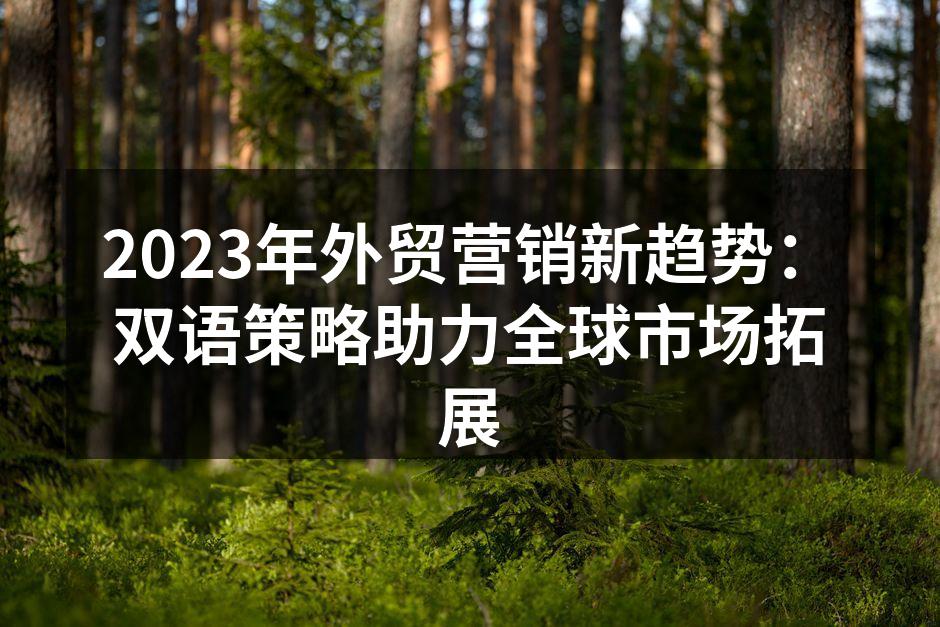 2023年外贸营销新趋势：双语策略助力全球市场拓展