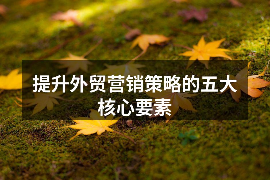 提升外贸营销策略的五大核心要素