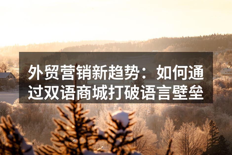 外贸营销新趋势：如何通过双语商城打破语言壁垒