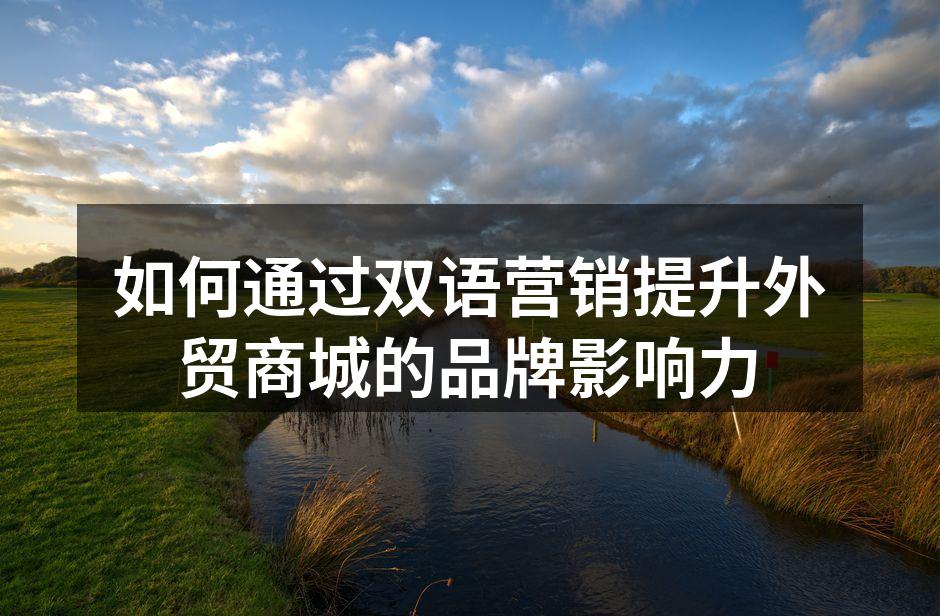 如何通过双语营销提升外贸商城的品牌影响力