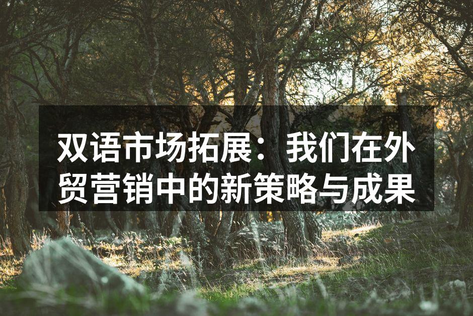 双语市场拓展：我们在外贸营销中的新策略与成果